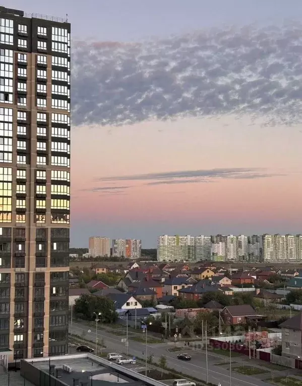 1-к кв. Краснодарский край, Краснодар Плодородный-2 мкр, ул. ... - Фото 2