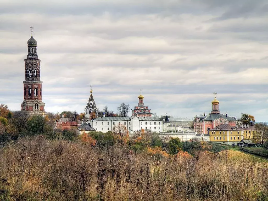 Участок в Рязанская область, Рыбновский район, с. Пощупово ул. ... - Фото 0