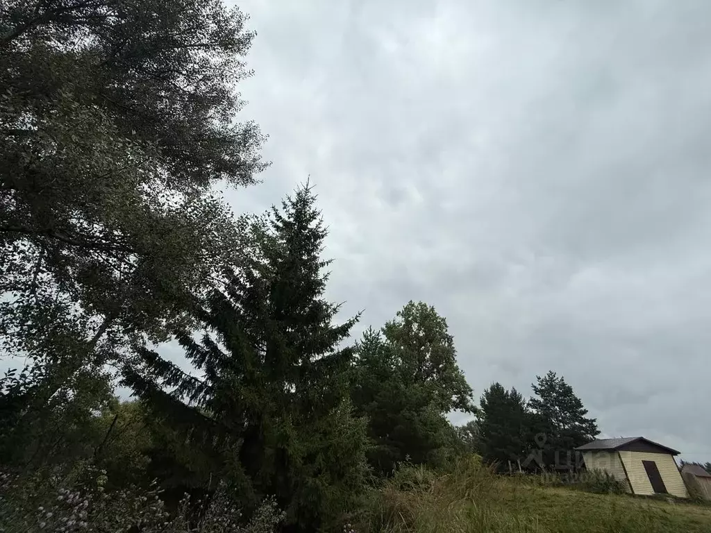 Участок в Тюменская область, Тюменский район, д. Речкина  (27.0 сот.) - Фото 0