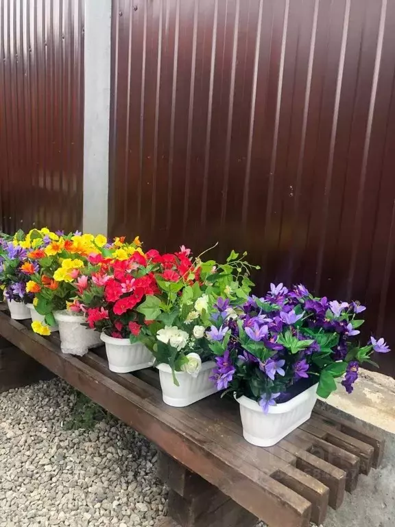 Дом в Камчатский край, Елизовский муниципальный округ, с. Паратунка ... - Фото 2