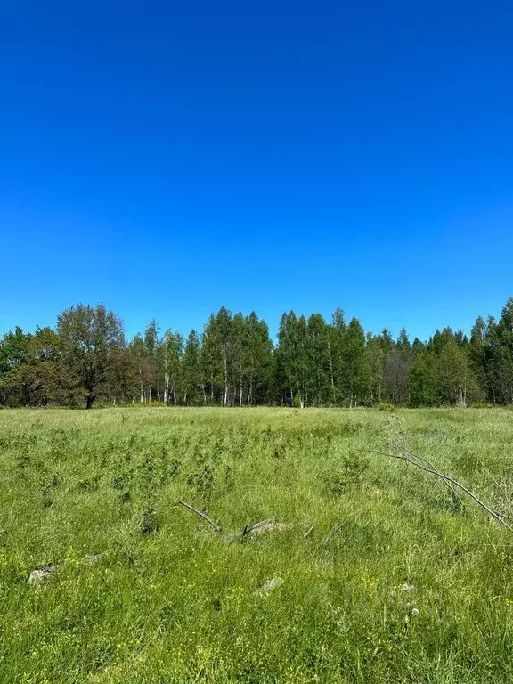 Участок в Пензенская область, Бессоновский район, с. Кижеватово ул. ... - Фото 0