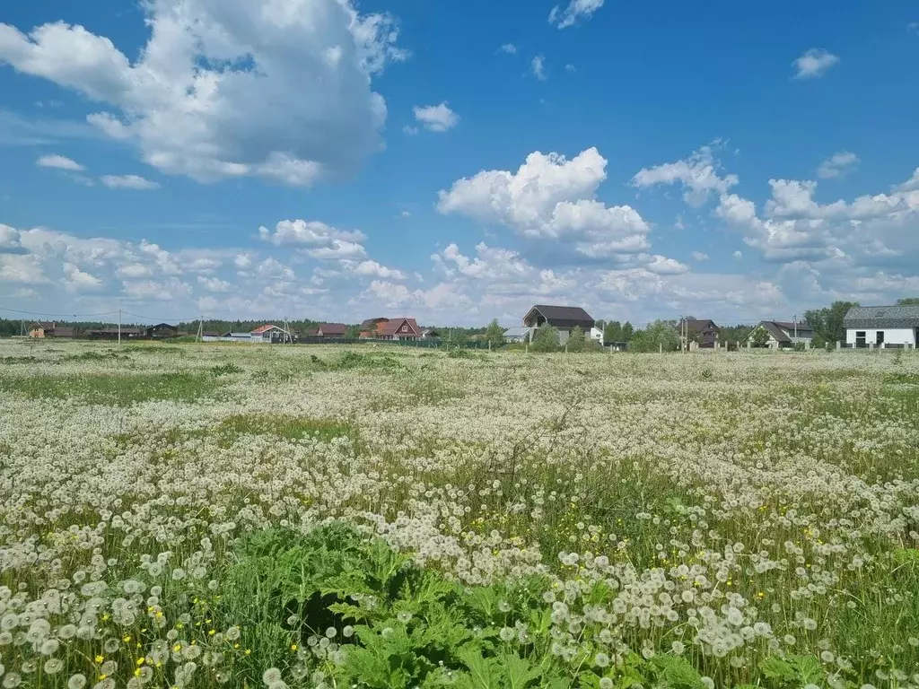 Участок в Московская область, Рузский городской округ, д. Таблово 2А ... - Фото 1