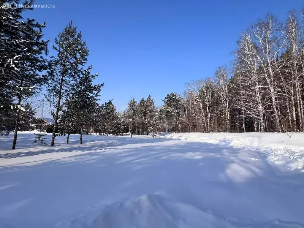 Участок в Барышевский сельсовет, садовое товарищество Ключи-4 Западные ... - Фото 2