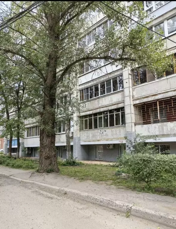 1-к кв. Воронежская область, Воронеж ул. 60-й Армии, 4 (37.0 м) - Фото 1