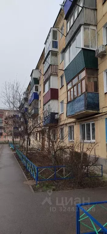 1-к кв. Самарская область, Сызрань Астраханская ул., 19 (32.5 м) - Фото 1