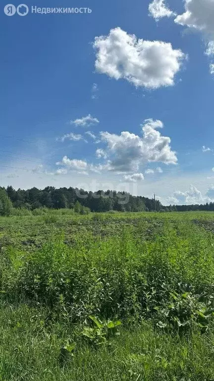 Участок в Томский район, село Батурино (12.3 м) - Фото 0