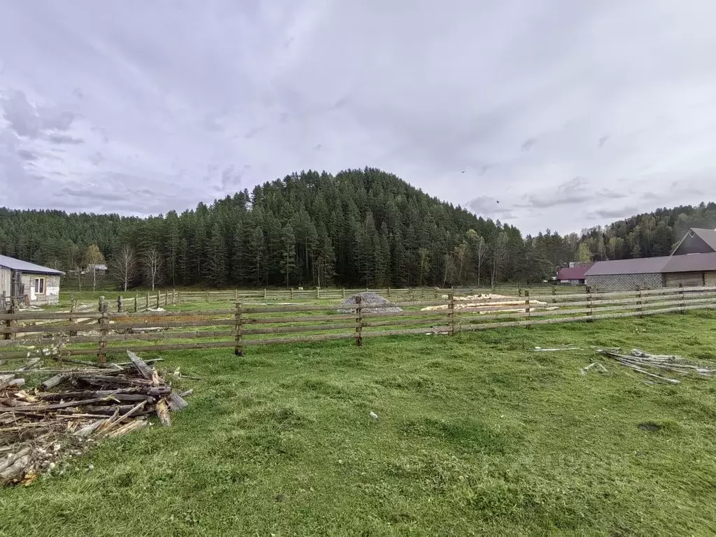 Участок в Алтай, Турочакский район, с. Турочак Березовая ул. (10.0 ... - Фото 1