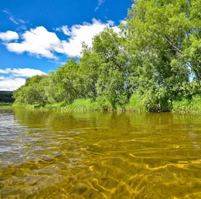 Дом в Курская область, Курский район, д. Щетинка 34 (30 м) - Фото 0