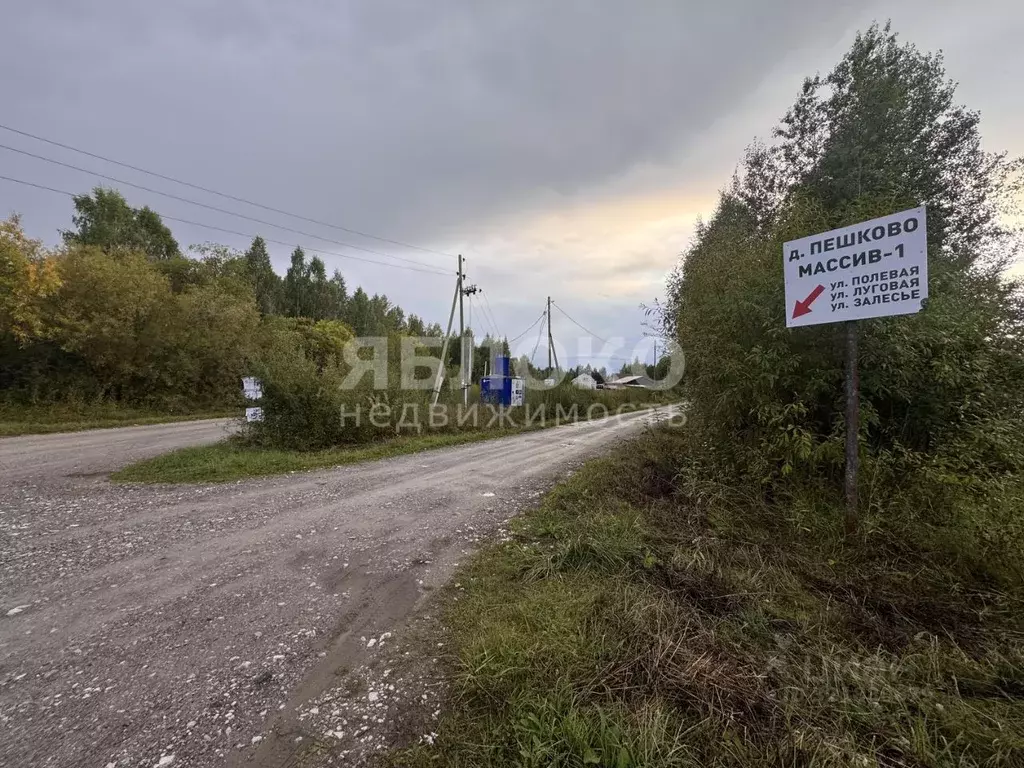 Участок в Пермский край, Березники муниципальный округ, д. Пешково ул. ... - Фото 1