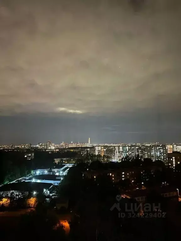 1-к кв. Санкт-Петербург просп. Тореза, 44к2 (47.0 м) - Фото 1