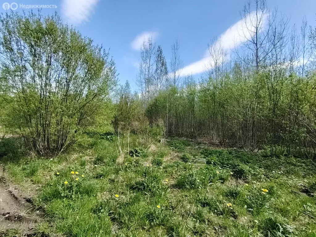 Участок в Ленинградская область, Волхов (10.15 м) - Фото 1