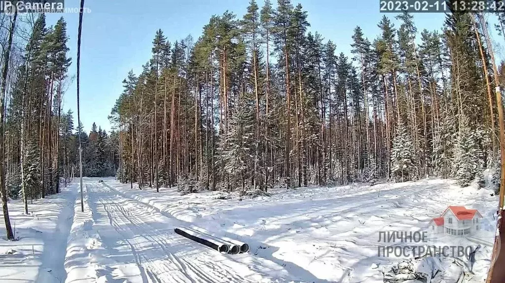 Участок в Токсовское городское поселение, коттеджный посёлок Экофорест ... - Фото 1