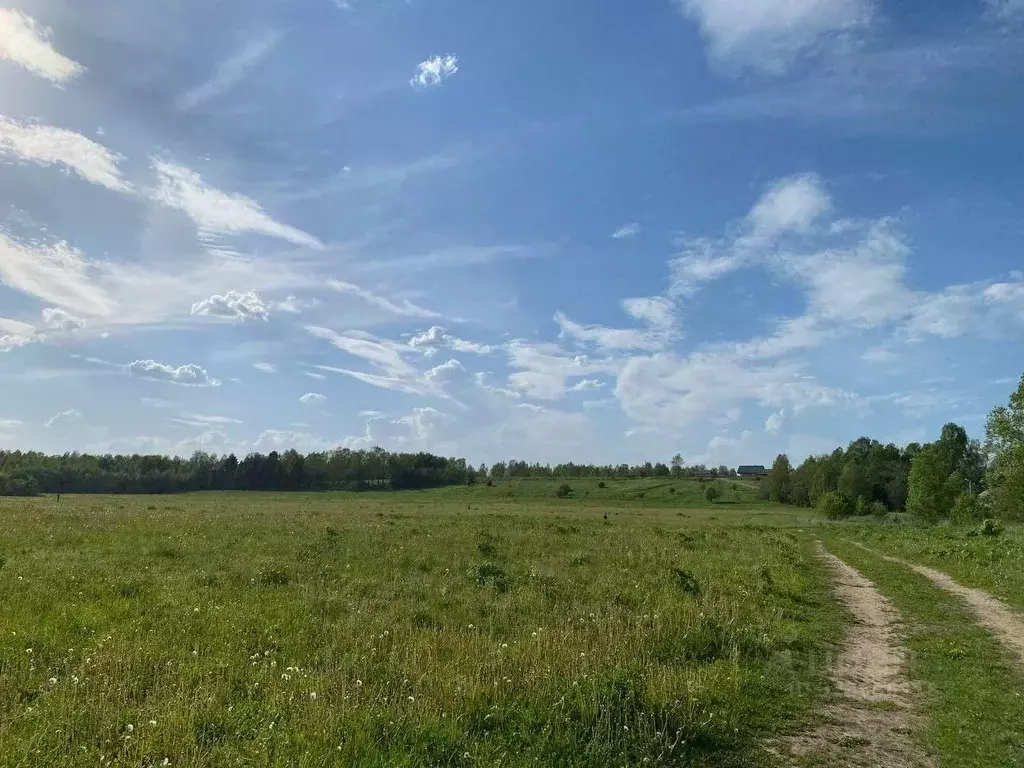 Участок в Владимирская область, Киржачский муниципальный округ, д. ... - Фото 2