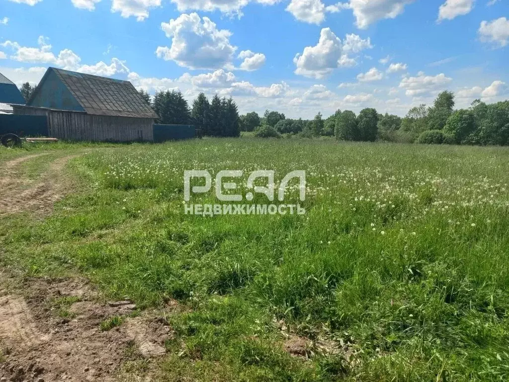 Участок в Ленинградская область, Гатчинский муниципальный округ, д. ... - Фото 2