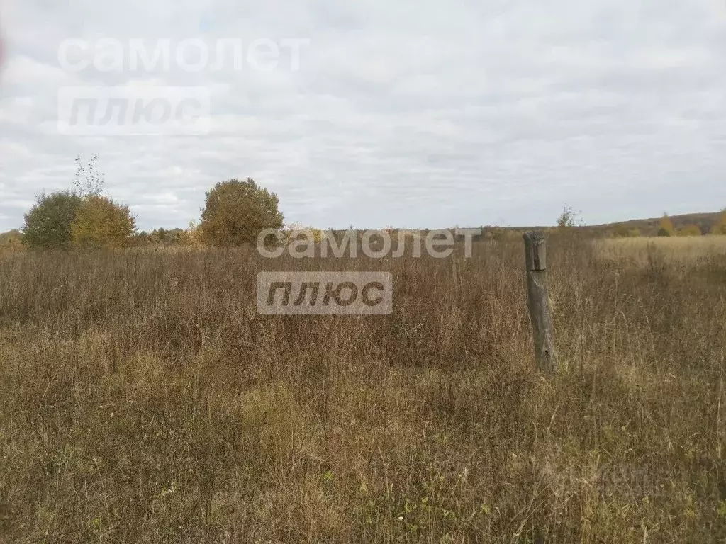 Участок в Чувашия, Мариинско-Посадский муниципальный округ, д. ... - Фото 1