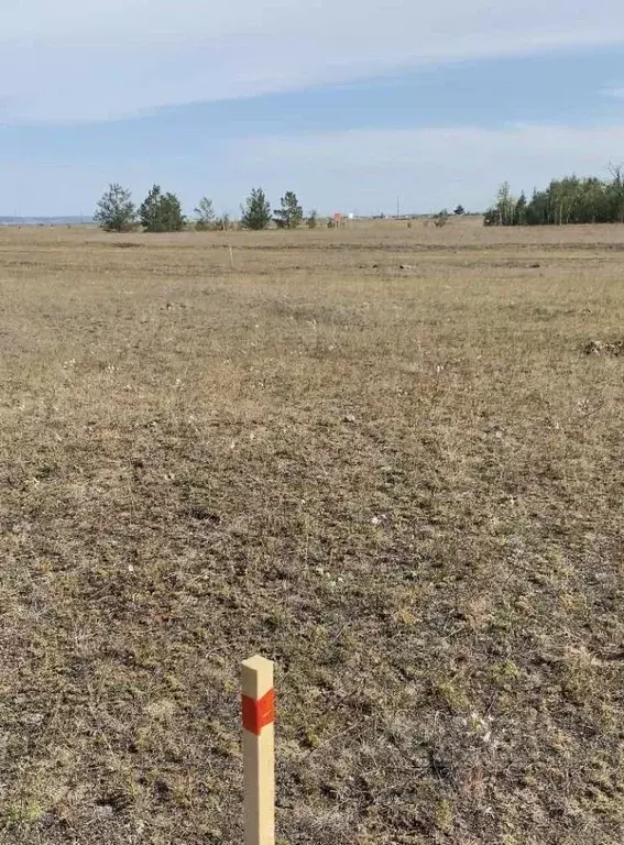 Участок в Саха (Якутия), Якутск городской округ, с. Сырдах  (10.0 ... - Фото 1