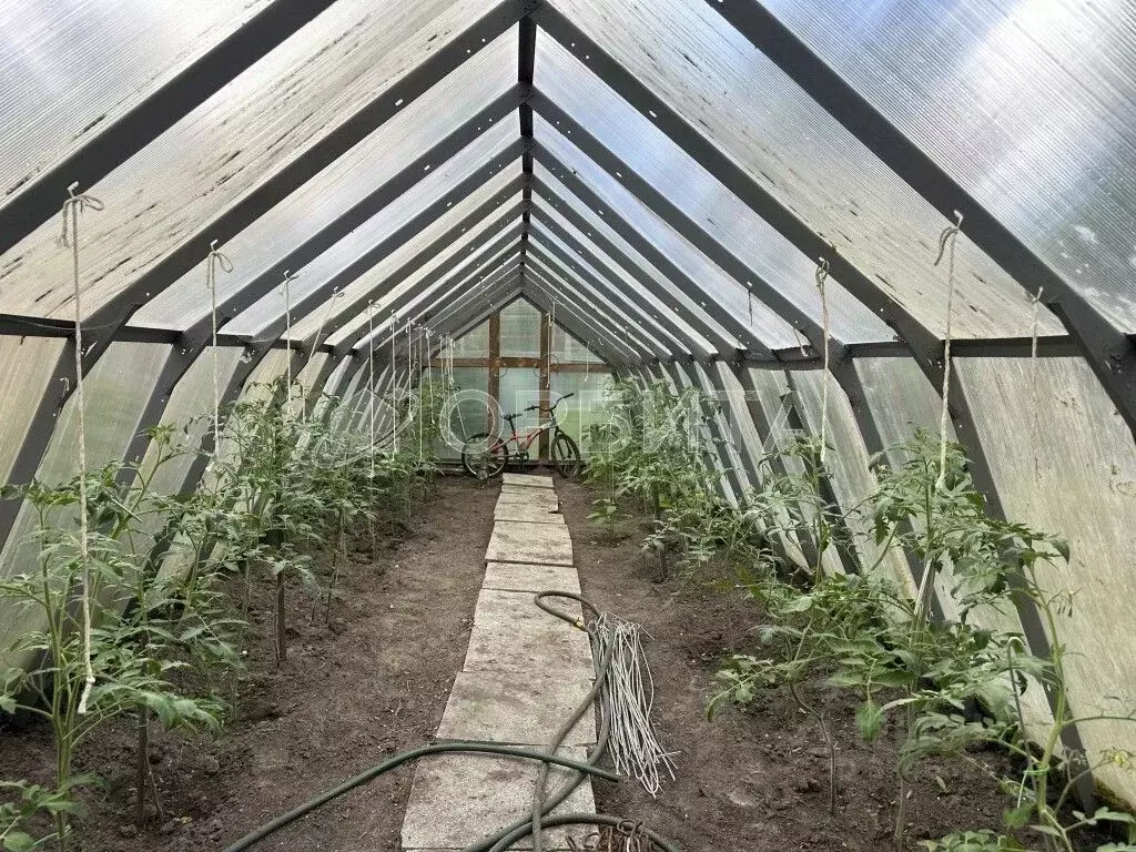 Участок в Тюменская область, Тюменский муниципальный округ, Лесное СНТ ... - Фото 2