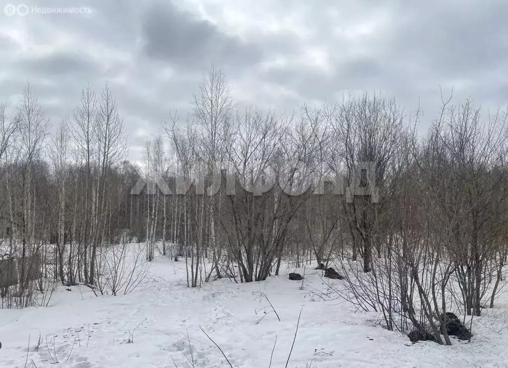 Участок в Новосибирск, Спринтерская улица (8.62 м) - Фото 1