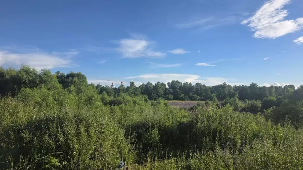 Участок в Владимирская область, Покров городской округ, д. Еськино ул. ... - Фото 1