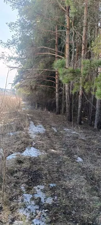 Участок в Башкортостан, Уфа № 27 ОСТ ОАО УМПО КС, 738 (8.8 сот.) - Фото 2