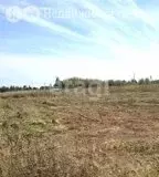 Участок в Курган, товарищество собственников недвижимости Благодатное ... - Фото 2