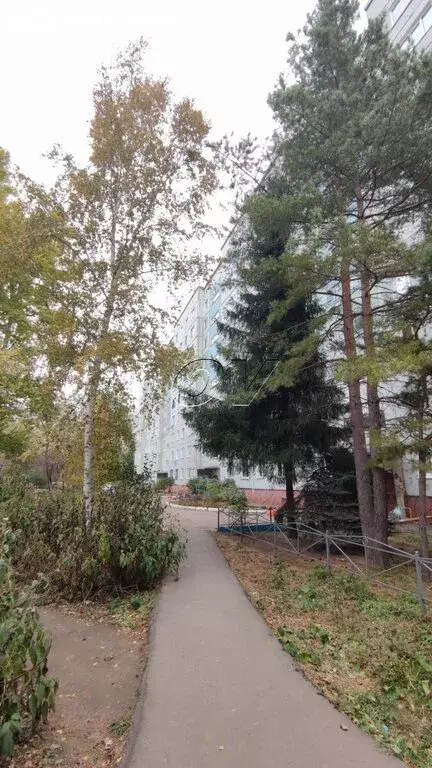 2-комнатная квартира: Омск, микрорайон Московка-2, улица Молодова, 10 ... - Фото 1