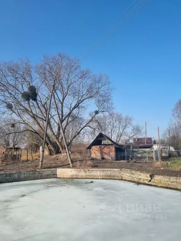 Участок в Калининградская область, Гурьевский муниципальный округ, ... - Фото 2