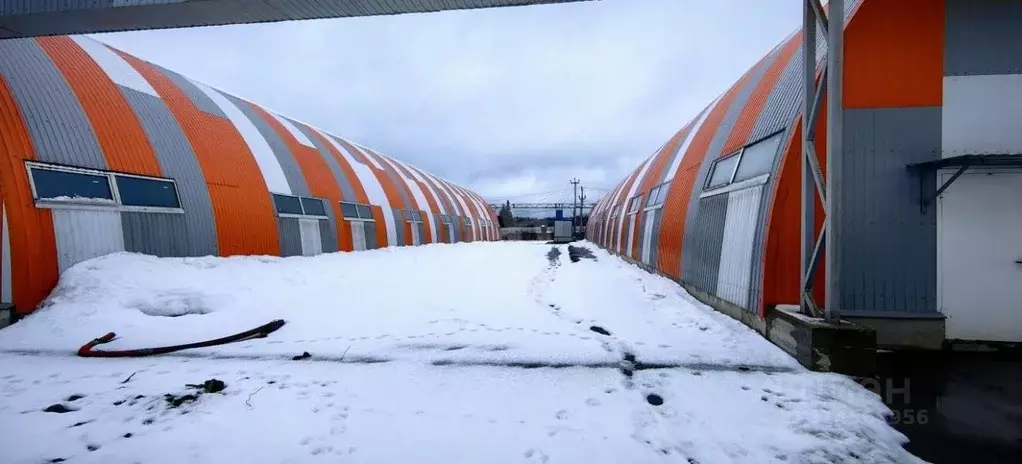 Склад в Московская область, Пушкинский городской округ, д. Алешино с11 ... - Фото 2