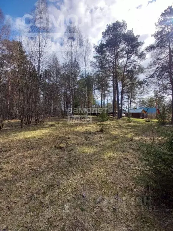 Участок в Костромская область, Костромской район, Кузнецовское с/пос, ... - Фото 1