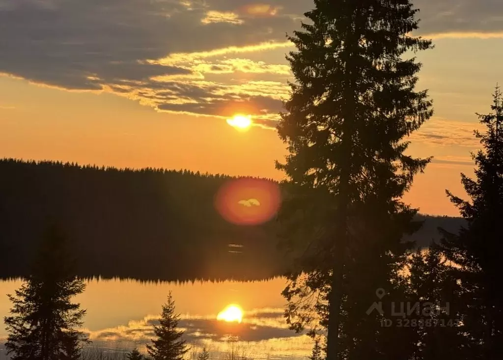 Участок в Санкт-Петербург пос. Комарово, Озерная ул. (30.0 сот.) - Фото 1