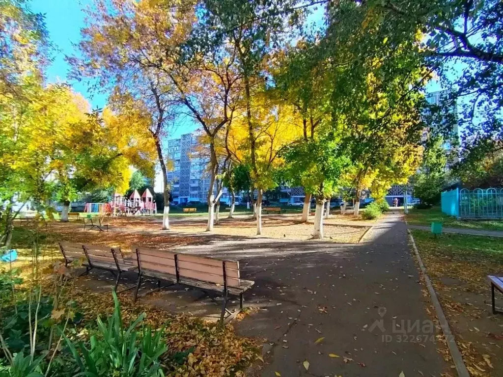 1-к кв. Мордовия, Саранск Севастопольская ул., 84 (33.4 м) - Фото 2