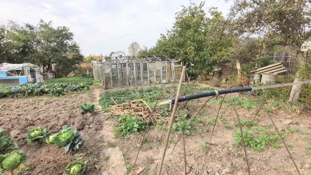 Участок в Брянская область, Брянский район, Новодарковичское с/пос, д. ... - Фото 0