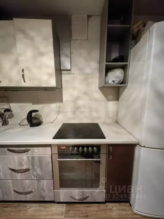 1-к кв. Амурская область, Благовещенский район, с. Чигири Октябрьская ... - Фото 1