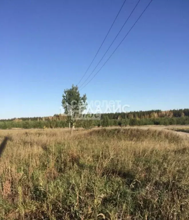 Участок в Челябинская область, с. Еткуль ул. Первомайская (24.57 сот.) - Фото 1