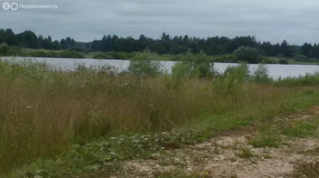 Участок в Новгородская область, Шимское городское поселение, деревня ... - Фото 1