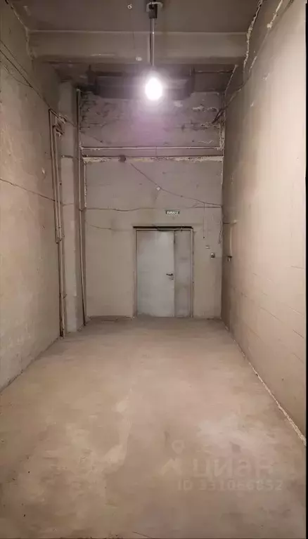 Помещение свободного назначения в Новосибирская область, Новосибирск ... - Фото 1