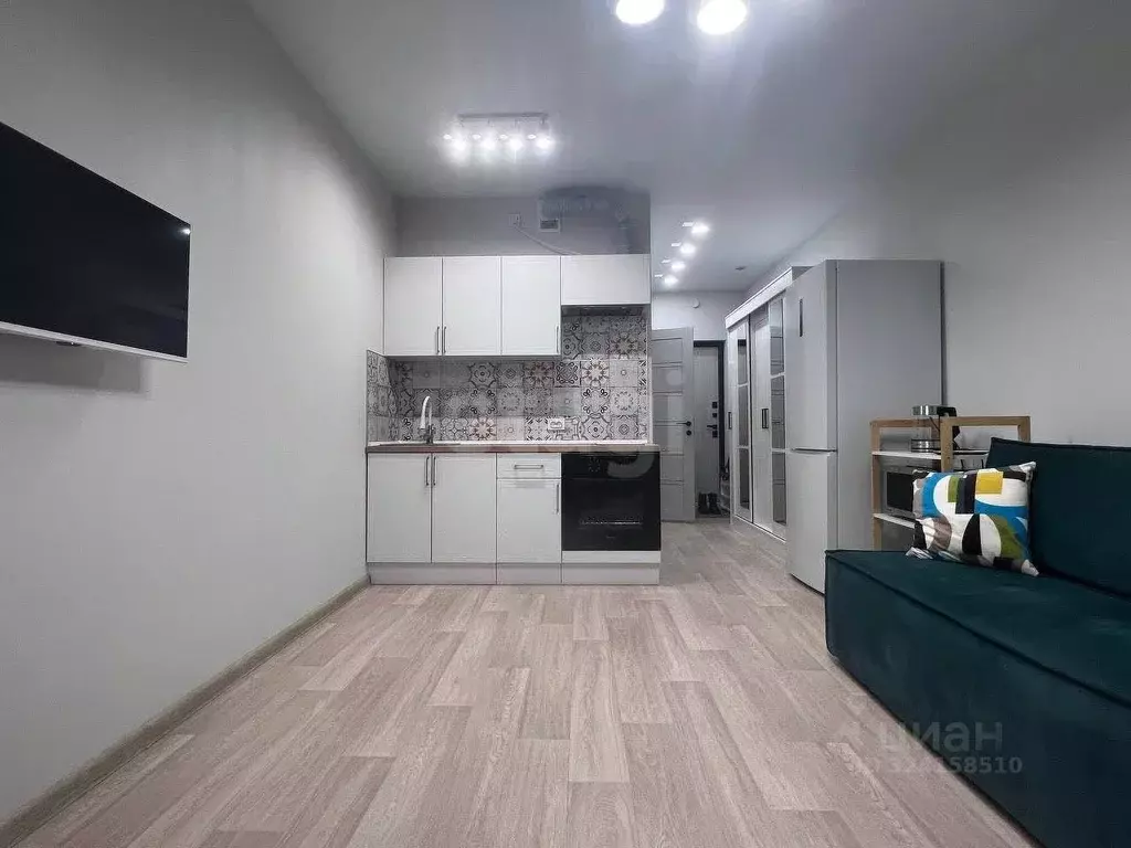 Студия Вологодская область, Череповец просп. Луначарского, 55 (24.0 м) - Фото 1