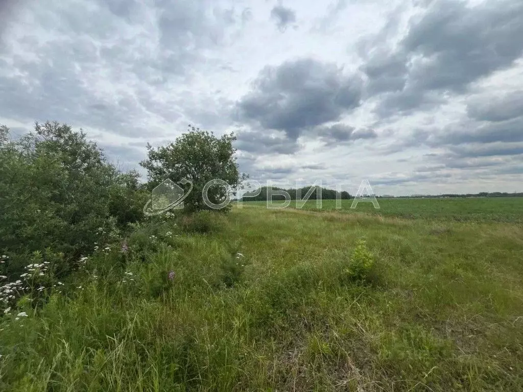 Участок в Тюменская область, Тюмень ул. Ленина (6.0 сот.) - Фото 0