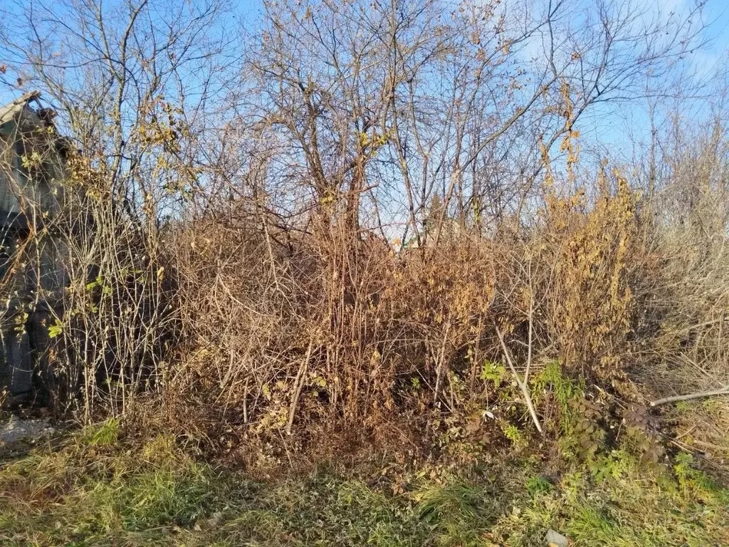 Участок в Башкортостан, Уфа Дружба СНТ, 86 (4.0 сот.) - Фото 2