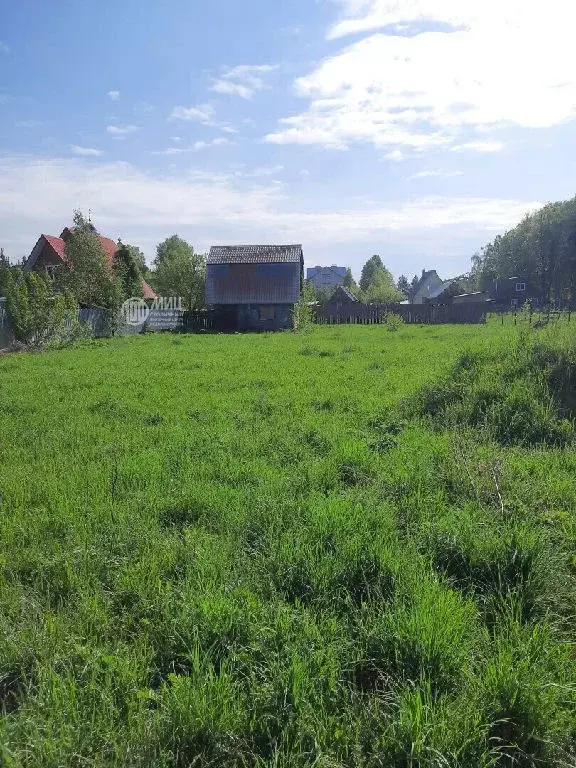 Продается участок в с. Душоново - Фото 1