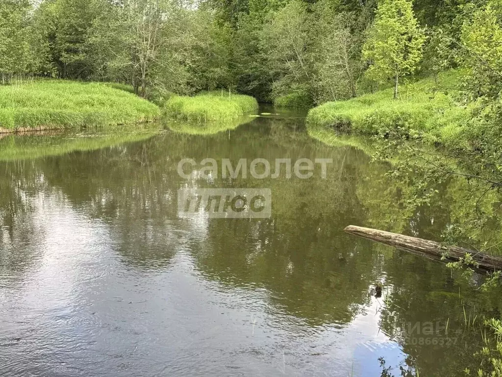 Дом в Костромская область, Судиславский муниципальный округ, д. ... - Фото 1