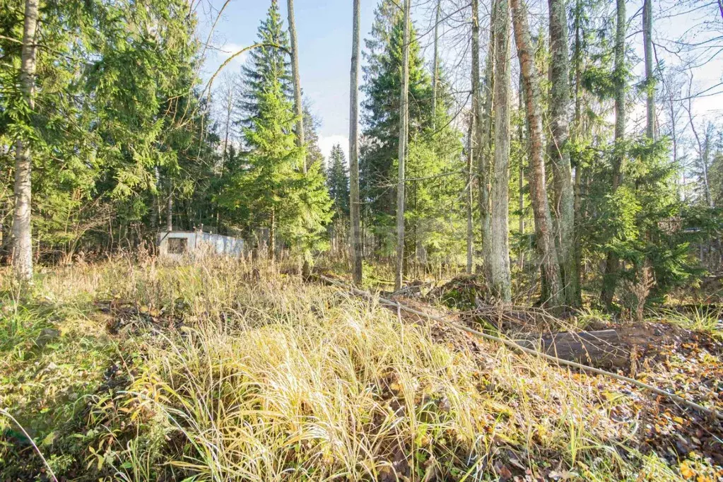Участок в Московская область, Одинцовский городской округ, д. Сивково, ... - Фото 2