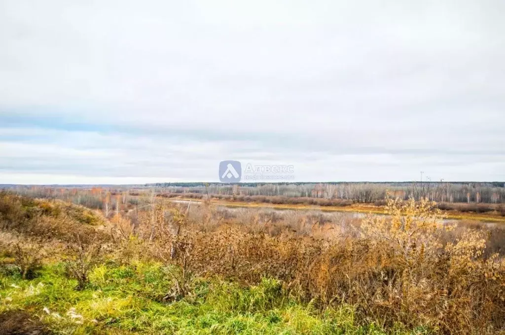 Участок в Тюменская область, Тюменский район, с. Кулаково, Зеленые ... - Фото 1