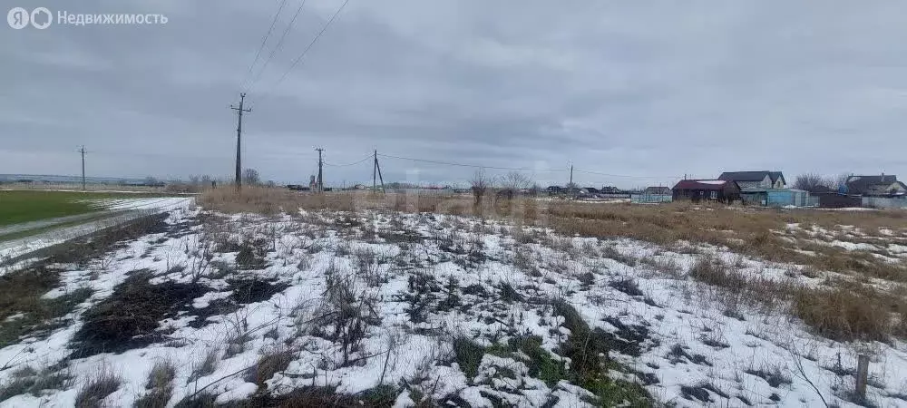 Участок в Ростовская область, Багаевское сельское поселение, ... - Фото 1