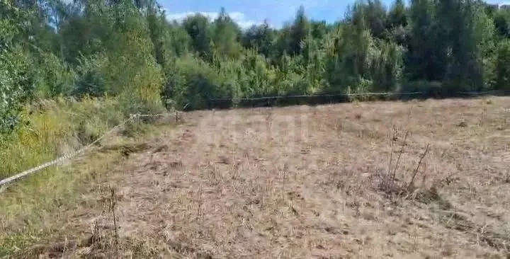 Участок в Калининградская область, Зеленоградский муниципальный округ, ... - Фото 1