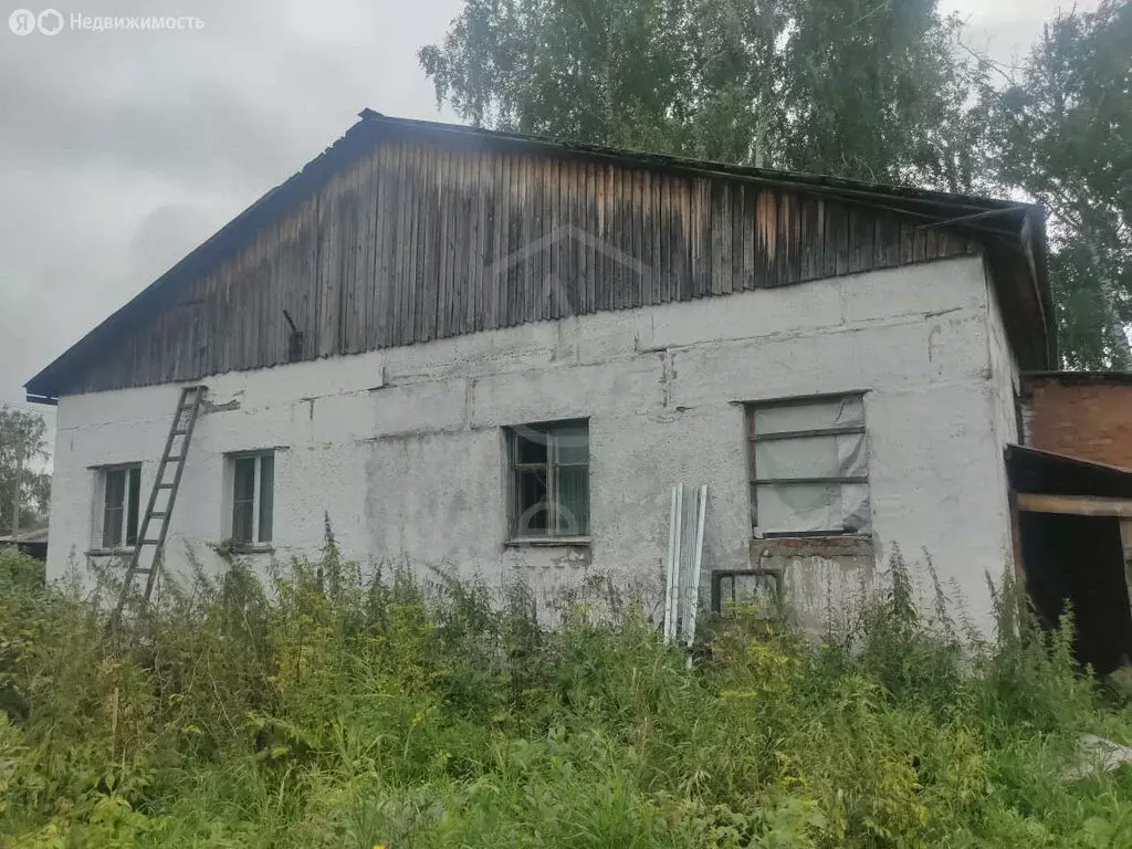 Дом в Болотное, Моховая улица, 1 (67.7 м) - Фото 0