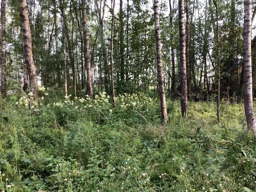 Участок в Московская область, Домодедово городской округ, д. Степыгино ... - Фото 1