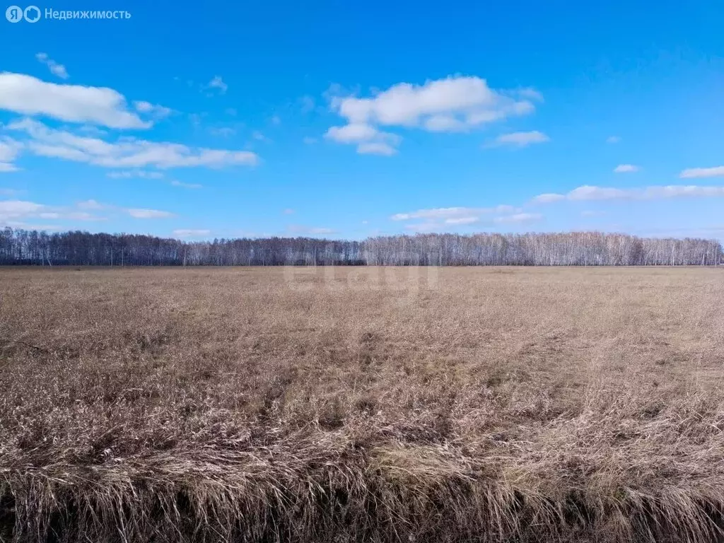 Участок в село Сосновка, 1-я Заводская улица (14.9 м) - Фото 2