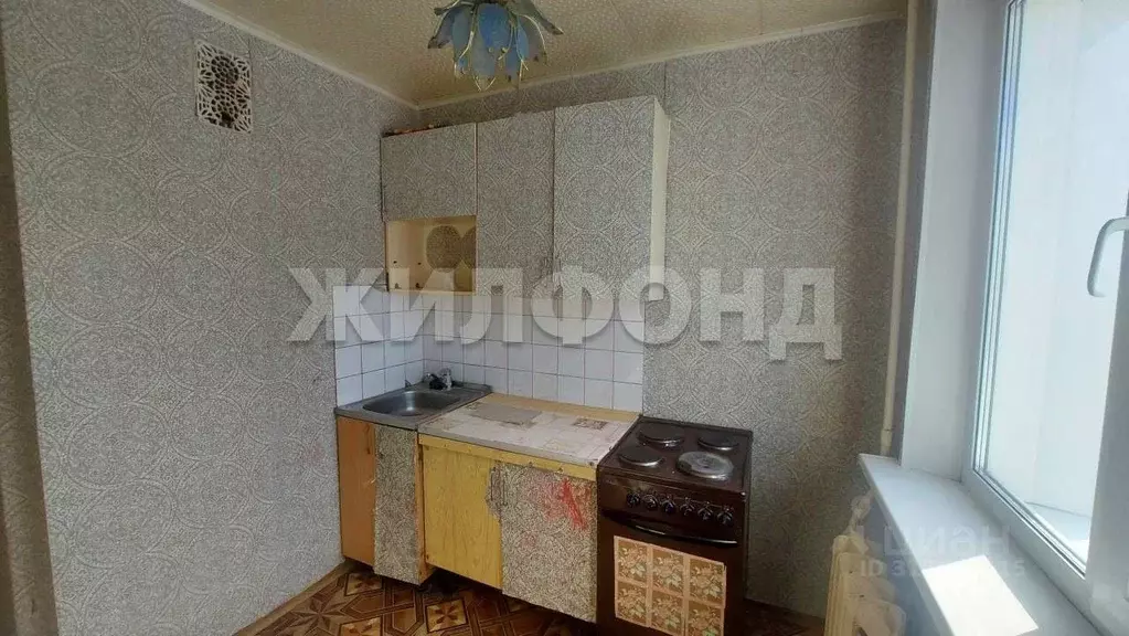 1-к кв. Новосибирская область, Новосибирский район, с. Криводановка, ... - Фото 0
