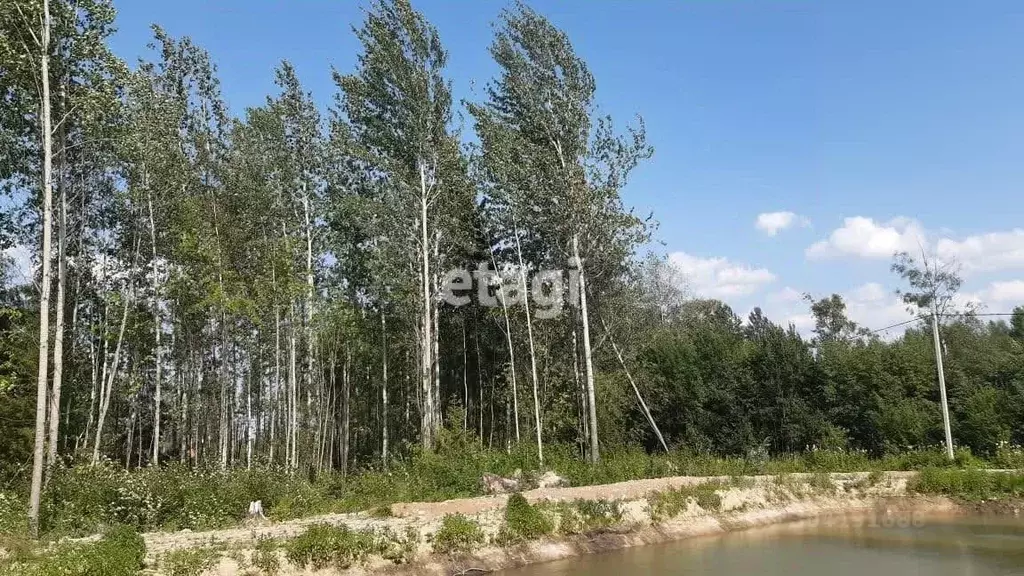 Участок в Ленинградская область, Кировский район, Мгинское городское ... - Фото 1